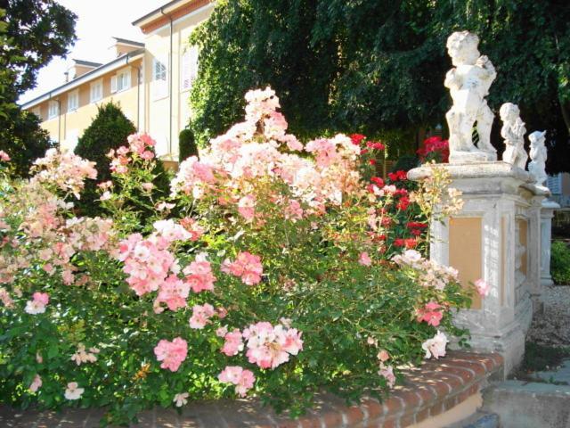 Park Hotel Villa Salzea Trofarello エクステリア 写真