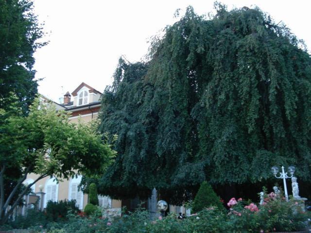 Park Hotel Villa Salzea Trofarello エクステリア 写真