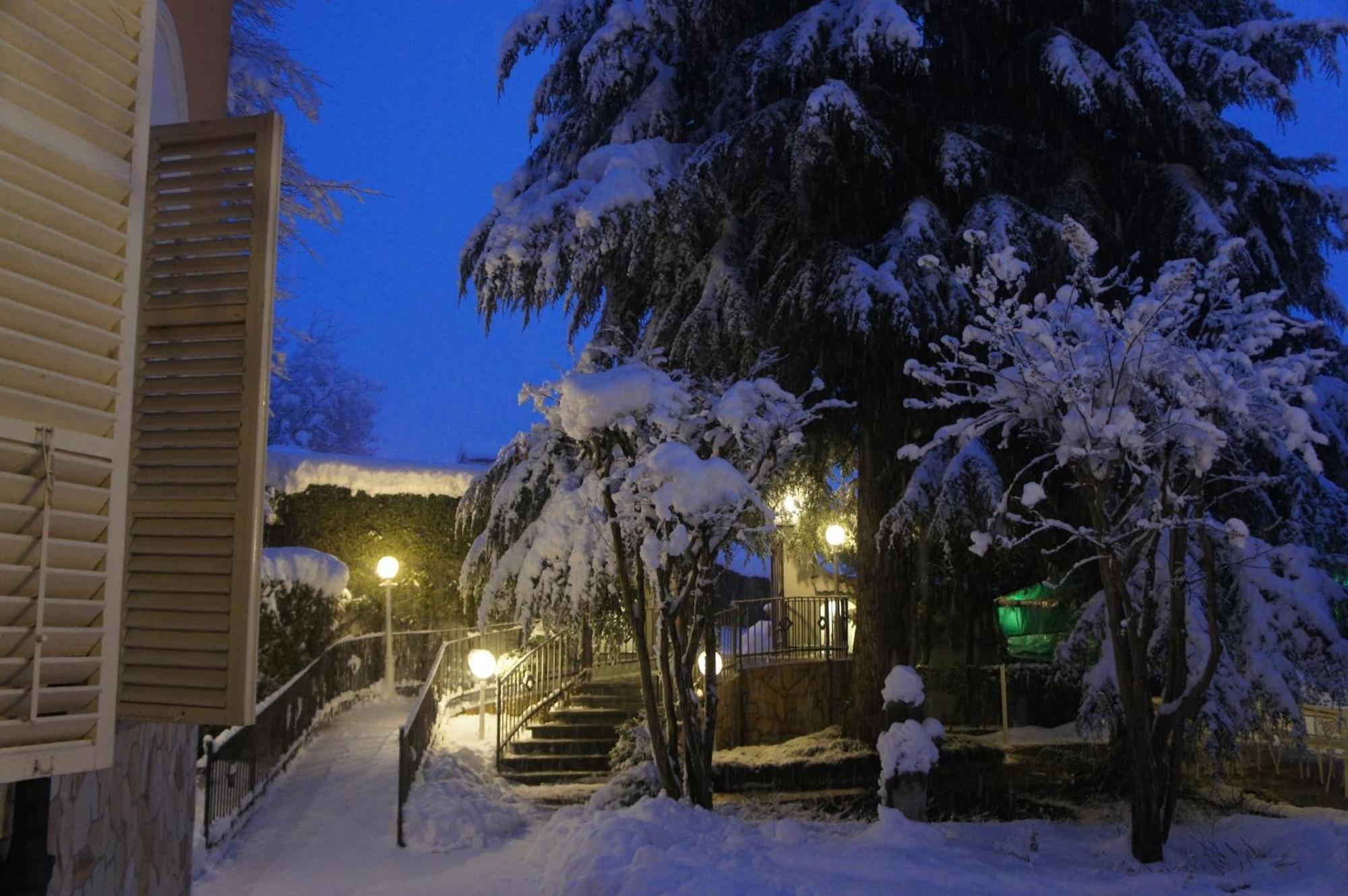 Park Hotel Villa Salzea Trofarello エクステリア 写真