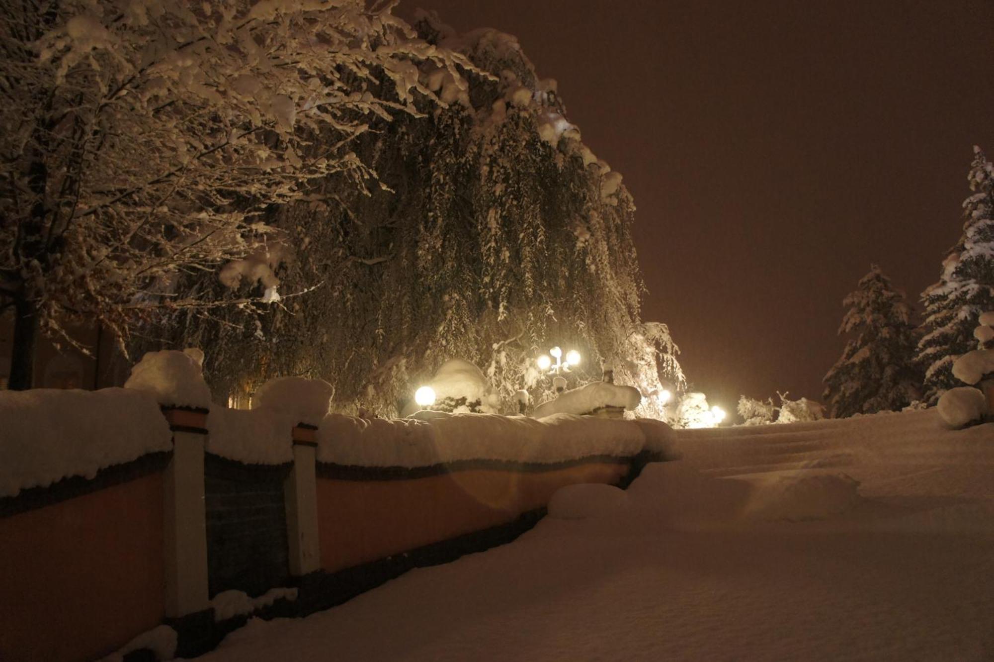 Park Hotel Villa Salzea Trofarello エクステリア 写真